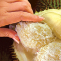 Durian Mochi