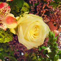 Mother's Day